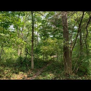 Meet your Posher, Libby